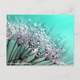 Le bon matin des fleurs 案内ポストカード