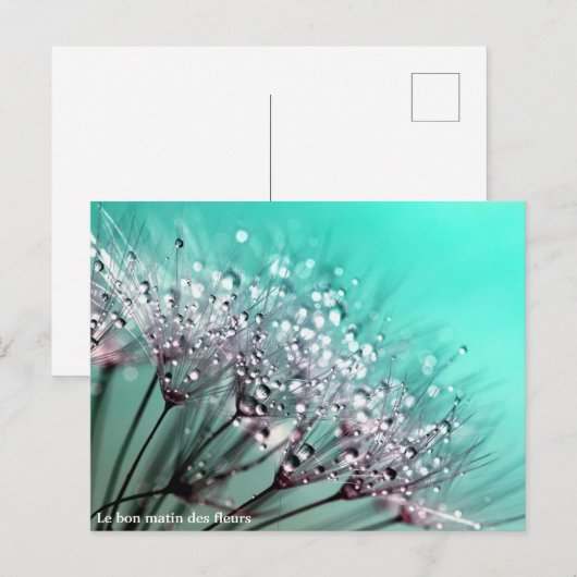 Le bon matin des fleurs 案内ポストカード (正面/裏面)