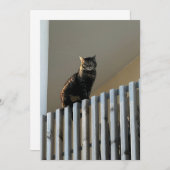 Le Chat  (正面/裏面)