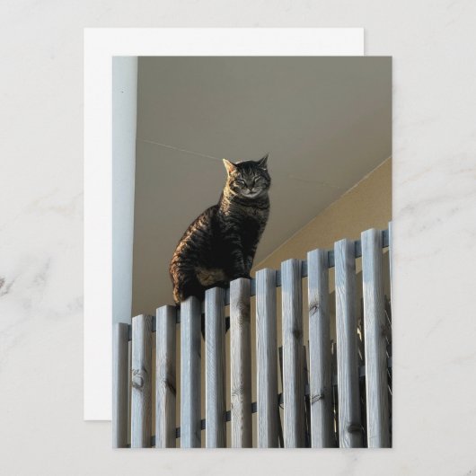 Le Chat  (正面/裏面)