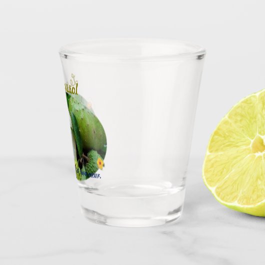 Le corossol ショットグラス (右)