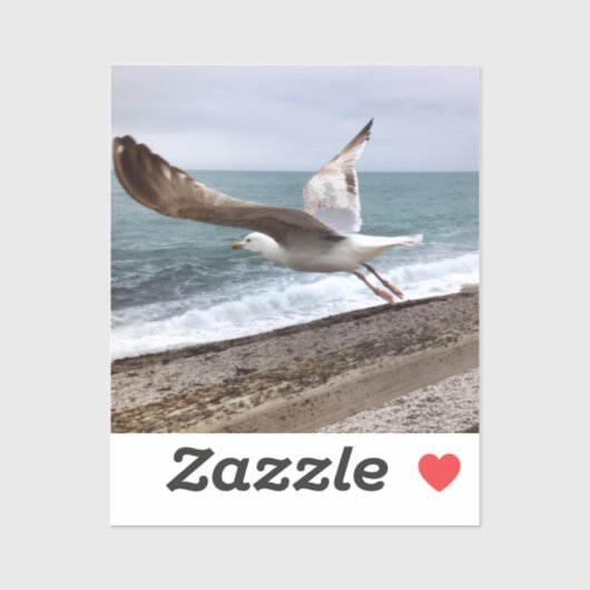 Le goëland d'Etretat français シール (シート)