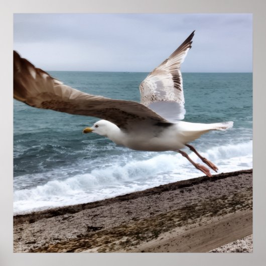 Le Goëland d'Etretat français ポスター (正面)