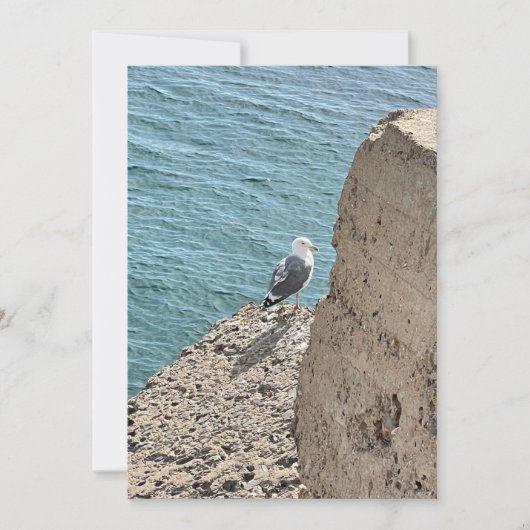 Le goéland en bord de mer (正面)