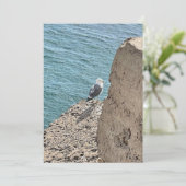 Le goéland en bord de mer (スタンド正面)