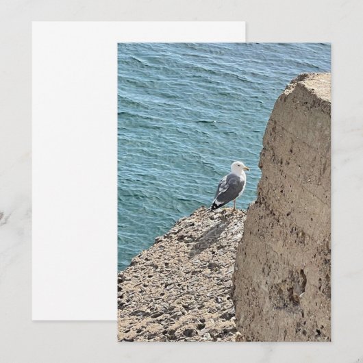 Le goéland en bord de mer (正面/裏面)