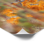 Le gorgebleue à miroir  ポスター (コーナー)