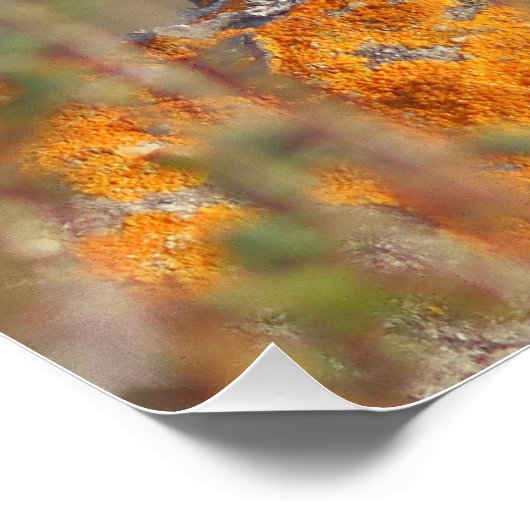 Le gorgebleue à miroir  ポスター (コーナー)