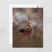 Le renard et le papillon ポストカード (正面/裏面)