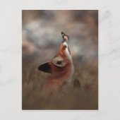 Le renard et le papillon ポストカード (正面)
