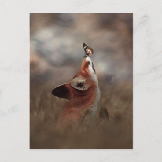 Le renard et le papillon ポストカード (正面)