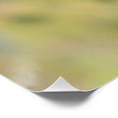 Le rougue-queue noire sur sa branche ポスター (コーナー)