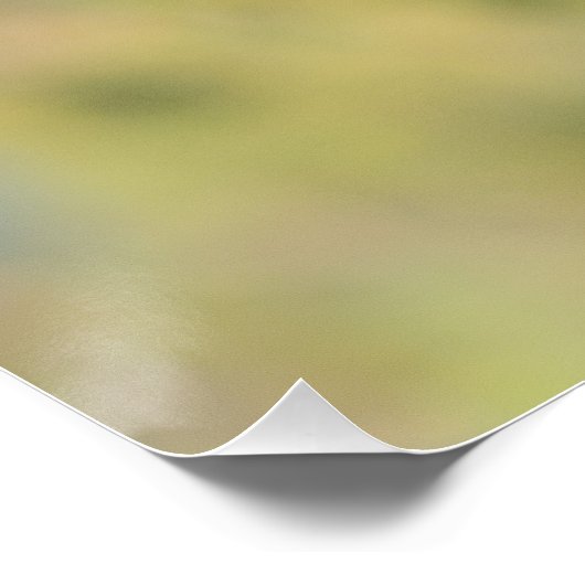 Le rougue-queue noire sur sa branche ポスター (コーナー)