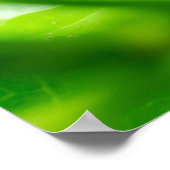 Leaf Beetle on Plant ポスター (角)