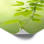 Leaf Close-up Calm Tranquil Nature Season ポスター (角)