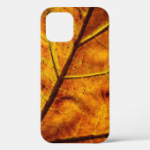 Leaf leaf veins fall texture Case-Mate iPhoneケース (裏面)