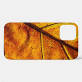 Leaf leaf veins fall texture Case-Mate iPhoneケース (裏面 (横))
