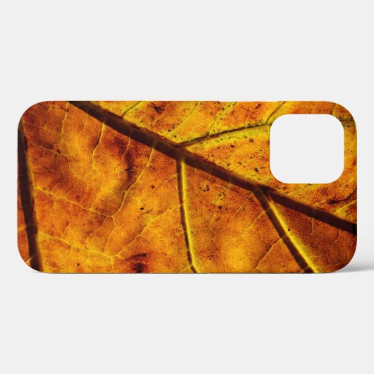 Leaf leaf veins fall texture Case-Mate iPhoneケース (裏面 (横))