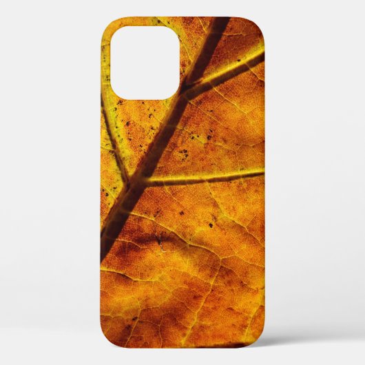 Leaf leaf veins fall texture Case-Mate iPhoneケース (裏面)