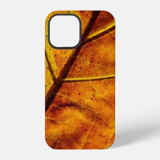 Leaf leaf veins fall texture iPhoneケース (裏面)