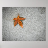 Leaf on Sidewalk ポスター (正面)