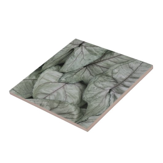 Leaf Print タイル (側面)