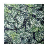 Leaf Print タイル (正面)