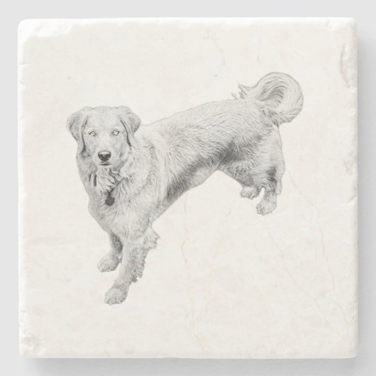 Leaf-Season Sentinel ストーンコースター (正面)