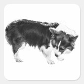 Leaf-Shadow Nosework スクエアシール (正面)