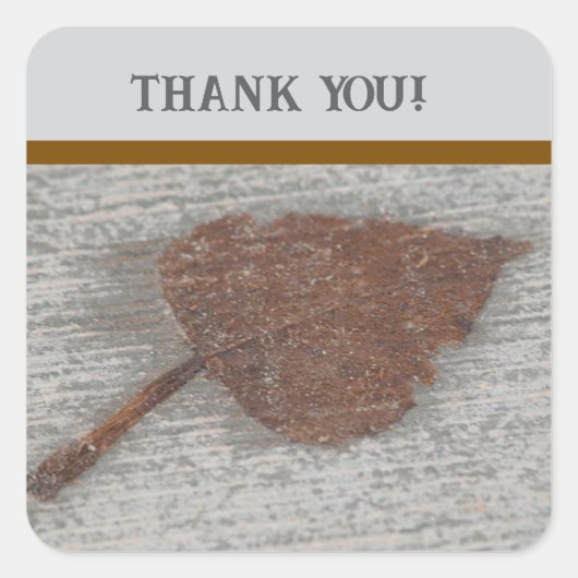 Leaf thank you スクエアシール (正面)