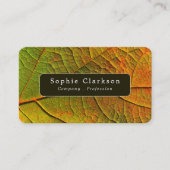 Leaf Veins, Rustic 名刺 (正面)
