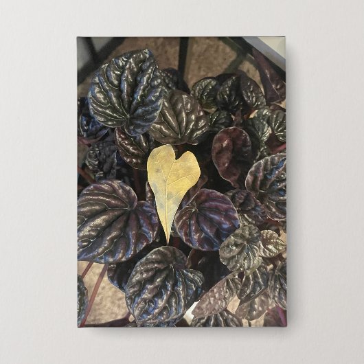 leafs 缶バッジ (正面)