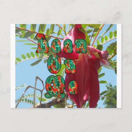 Lean 感動的 On Meフローラスカイワードアートプリント ポストカード (正面)