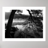 Leaning Pine at Derwentwater Poster ポスター (正面)