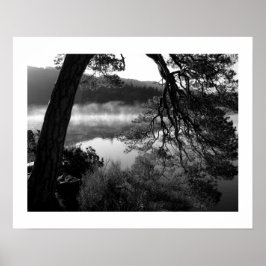 Leaning Pine at Derwentwater Poster ポスター