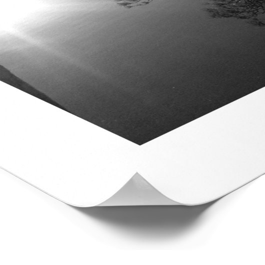 Leaning Pine: Friar's Crag, Derwentwater  Poster ポスター (角)