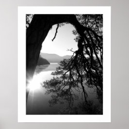 Leaning Pine: Friar's Crag, Derwentwater  Poster ポスター