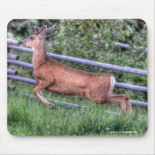 Leaping Deer Buck on Ranch Wildlife写真 マウスパッド