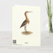 Least Bittern (Ixobrychus exilis) New York Birds カード (裏面)
