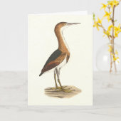 Least Bittern (Ixobrychus exilis) New York Birds カード (黄色い花)