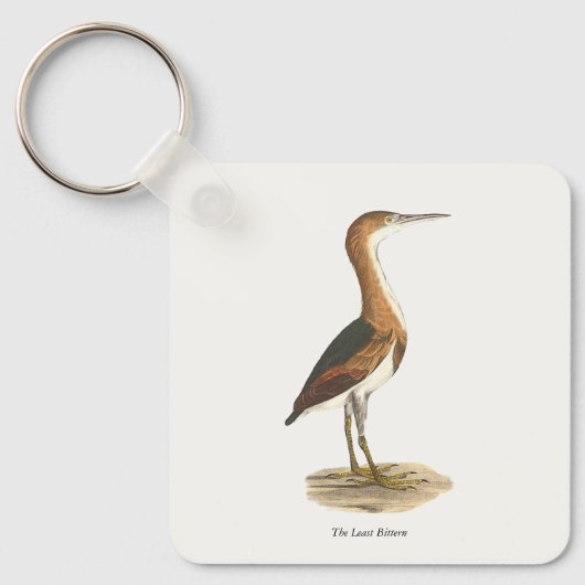 Least Bittern (Ixobrychus exilis) New York Birds キーホルダー (正面)