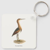 Least Bittern (Ixobrychus exilis) New York Birds キーホルダー (裏面)