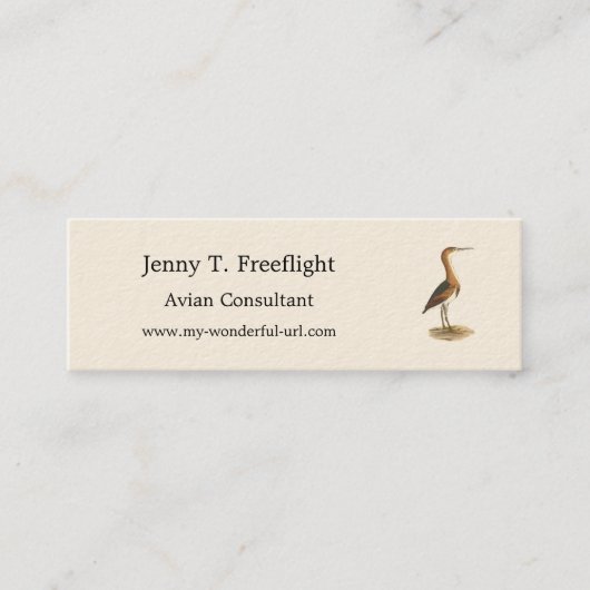 Least Bittern (Ixobrychus exilis) New York Birds スキニー名刺 (正面)