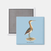 Least Bittern (Ixobrychus exilis) New York Birds マグネット (正面/裏面)