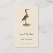 Least Bittern (Ixobrychus exilis) New York Birds 名刺 (正面)
