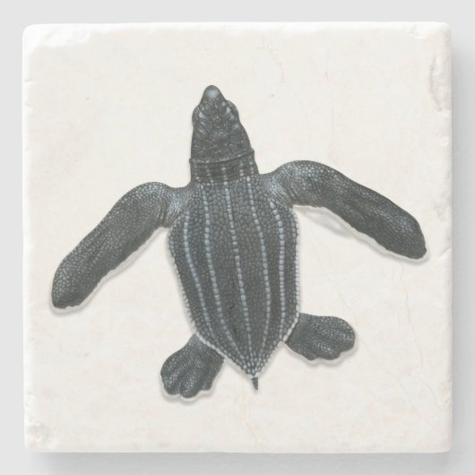 Leatherbackのウミガメの石のコースター ストーンコースター (正面)
