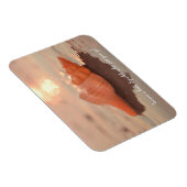 Leave a little Sparkle Horse conch Shell card マグネット (右側)