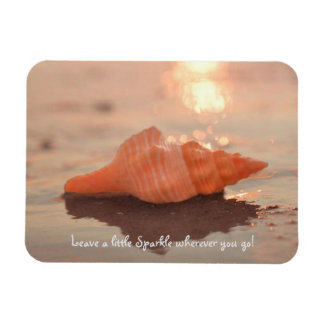 Leave a little Sparkle Horse conch Shell card マグネット