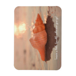 Leave a little Sparkle Horse conch Shell card マグネット