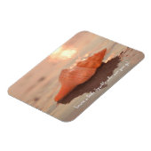 Leave a little Sparkle Horse conch Shell card マグネット (左側)